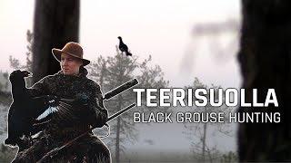 TEERISUOLLA 2018  Black Grouse Hunting