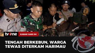 Warga di Lampung Barat Tewas Diterkam Harimau  Kabar Hari Ini tvOne