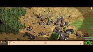 Age of Empires 2 HD - 1+1 vs 2 vs 2 - Game stream