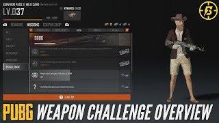 PUBG Wildcard Weapon Challenge Overview