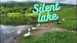 The Sound of Silence A Video of a Silent Lake  HOPELAKE 