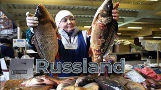 1000 km From Moscow Where to Buy Cheap Northern Fish???  Life of Russians Not Far From Arctic