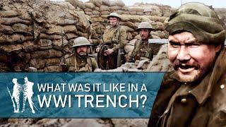 24 Hrs In The Trenches WW1 Documentary