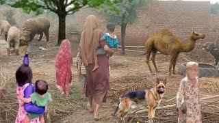 Pakistani Woman Life in Punjab Village I The Most Beautiful Village In Pakistankashaf Zahra vlog