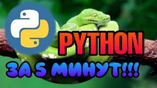 PYTHON за 5 МИНУТ Даже меньше 