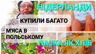 Українці в Нідерландах Купили багато мяса Чомув Польському Квіти під дощем @elenaholland5 #українці