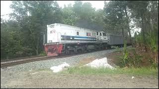 CC 204 Locomotive Pulling TelPulp Carriages Niru Relations - Tarahan Lampung