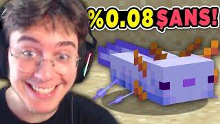 %0.08 Şansla Nadir Aksolotl Yakalama Anı  Hardcore Minecraft 2