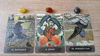 ️🩵WHAT HAVE THEY REALISED? PLUS WHAT DO THEY WANT TO HAPPEN ? ️🩵PICK A CARD LOVE TAROT. 