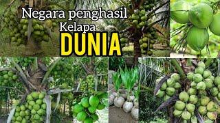 5.Negara Penghasil Kelapa Terbesar di Dunia Indonesia Nomor Berapa?