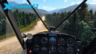 X-Plane 12  MAXED Graphics Settings  A330 RV-10 Storms Trees More...