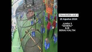 JUARA 5 MB SEMERU BJB BERAU KALTIM   KELAS KE 13 MB ELITE C 550K