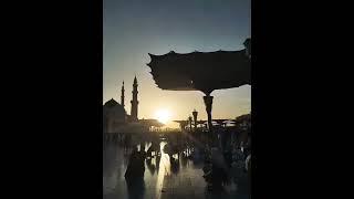 #madeenah #trend #islamictravel #trendingshorts #viralvideo