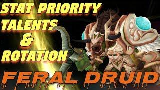 TBC Feral Druid PvE QUICK Guide  Stat Priority Talents and Single Target DPS Rotation
