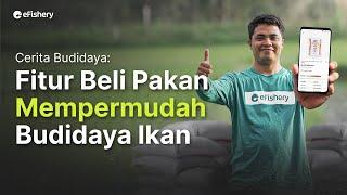 Cerita Budidaya Budidaya Ikan Semakin Praktis dengan Beli Pakan di eFisheryKu