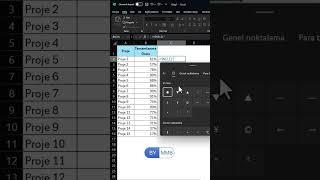 Excel Yüzdesel Gösterim #shorts