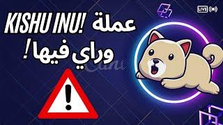 عملة KISHU INU وراي فيها بصراحة