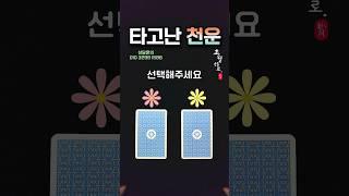 타로운세 타고난 천운 天運 #tarot #운세