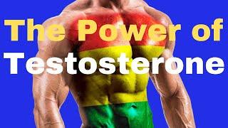 The Power of Testosterone