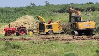 மண்னை மலடாக்கும் சீமைக்கருவேல மரம் இதை நவீன முறையில் ஒழிப்பு.