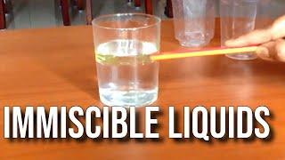 Immiscible liquids - Water and oil doesnt mix with each other Science Experiment