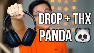 Are These the BEST Sounding Bluetooth Headphones?  Drop THX Panda Honest Review