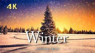 【Winter 4K 】- Beautiful Nature Relaxation Film With Calming Piano Music ｜冬の絶景