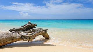 Relaxing Rhythmic Waves of a Beautiful Beach in Antigua