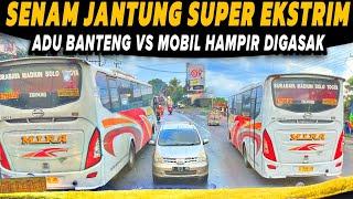 ADU BANTENG ‼️ BUS VIRAL SENAM JANTUNG BALAPAN NGEBLONG   Trip Report Balapan Bus Jawa Timuran