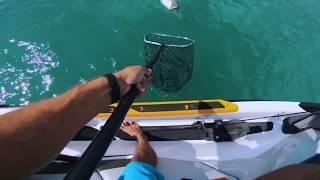 Soft baiting New Zealand sea doo fish pro