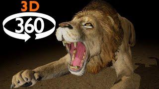 VR 360 - Attacked by Lions and More - 3D 4k