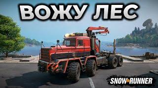 SNOWRUNNER ► Вожу бревна на PLAD 450