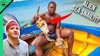 Bizarre Bahamas Unseen Extreme ISLAND Seafood