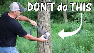 3 Setup MISTAKES Never do THIS Trail Camera Placement Tips for Best Results