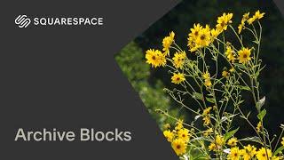 Archive Blocks  Squarespace 7.1