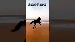 Bike Horse Power #short  #fitnessjourney