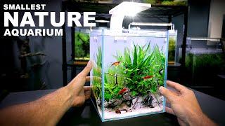 Aquascape Tutorial TINY 2.6 gal NATURE Aquarium How To Step By Step Nano Tank Guide