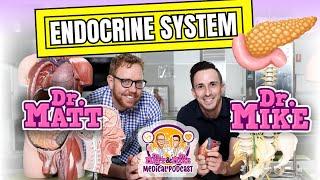 Endocrine System  Overview