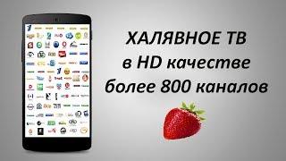 Watch free tv on android - 800 CHANNEL. Channels for real men. Without SMART TV