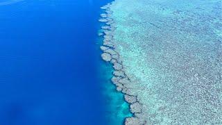 Fishing the Whitsundays on the Great Barrier Reef Topwater Spearfishing & Jigging