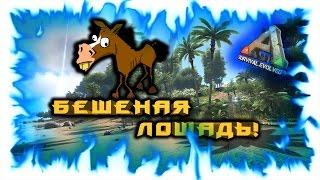 ARK Survival Evolved Бешеная лошадь