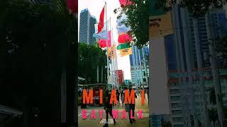 Miami Bay Walk #miamibeach #baywalk #florida #tourism #youtubeshorts #shorts