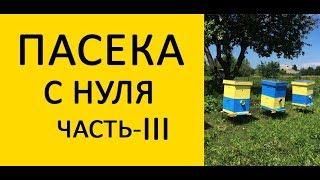 Пасека с нуля Часть-3. Атака пчел. Не тупи на пасеке Развитие отводков на 14 день. Ставим 2 корпус