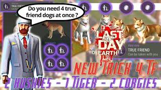 Steps to get True Friend Dogs - Only 4  FINAL  Last Day On Earth Survival