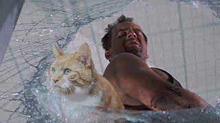 Die Hard But With Cats  Contains Strong Language