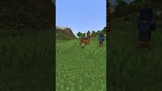 #shorts The Most Useless Minecraft Mob is...
