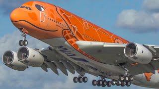 60 MINUTES PURE AVIATION - AIRBUS A380 B747 IL62 IL76 AN12 and more 4K