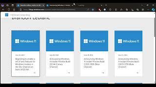 microsofts Windows 11 Insider Preview Build 26244 for Canary Channel users. also dev channel update