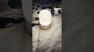 DOLLAR TREE Review $1.25 Voice Controlled Tabletop Light #dollartreefinds #shorts