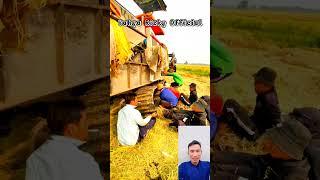 BAN KEMPES  Kombet Di Sawah #shorts #viral #kombet #combine #combineharvester